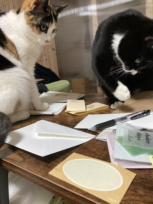 プロジェクト達成のリターン第1弾