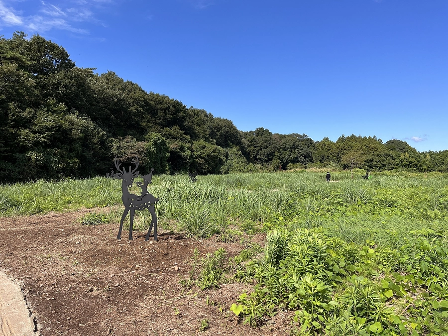 藤城清治MUSEUM Part2 お披露目会