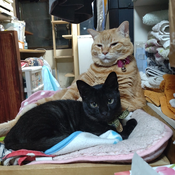 1番　小さな男の子と　1番　大きな女の子😺