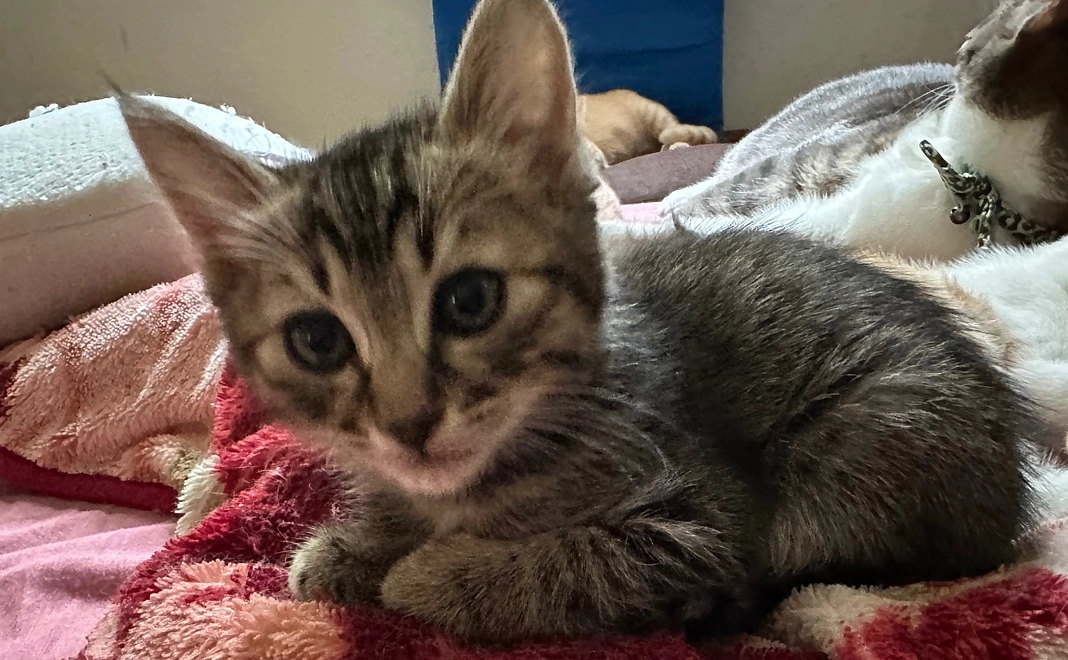 感謝のメッセージ1️⃣