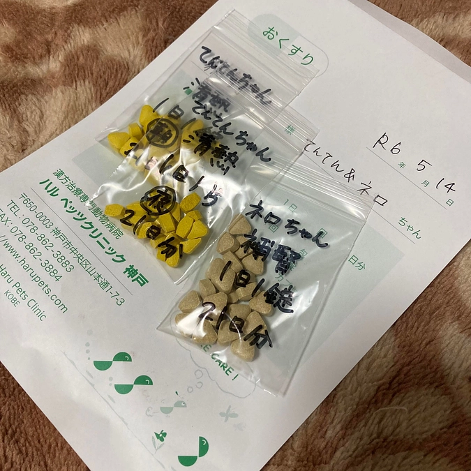 てんてん＆ネロちゃん　漢方薬治療はじめました