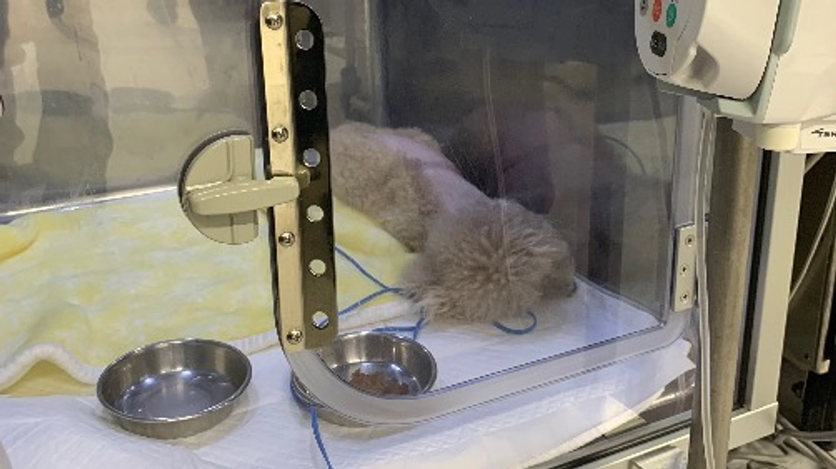 面会に行ってきました