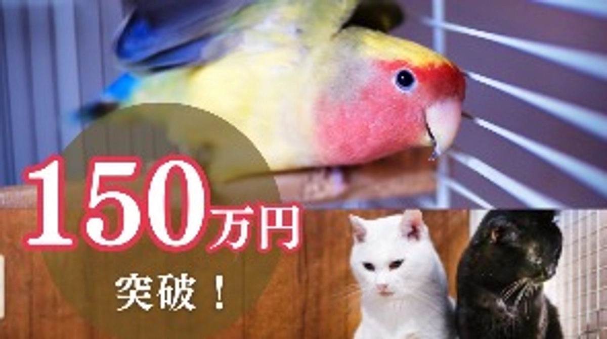 150万円突破して160万円達成のお礼と引き続きご支援・拡散のお願い