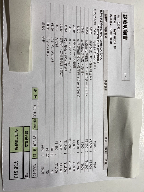 ACNU（ニムスチン）抗がん剤治療開始しました