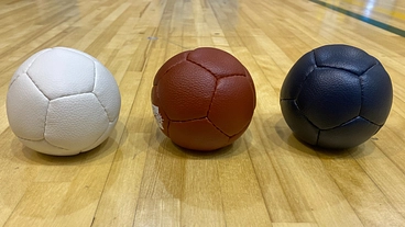 宮城県ボッチャ協会の普及拡大のためボッチャ用具を購入 のトップ画像