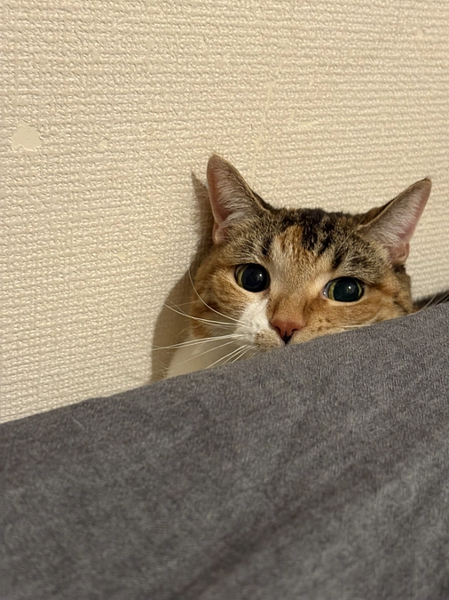 やはり菌は無くならず💧