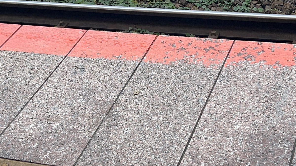 ご縁を拾いました^ - ^