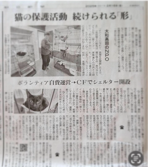 朝日新聞さんに『ねこまち長屋』掲載して下さいました🐱