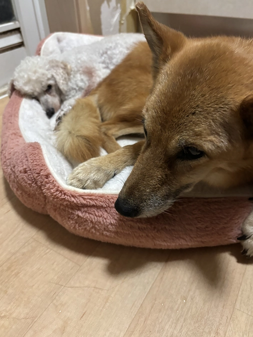 居るから大丈夫だよ