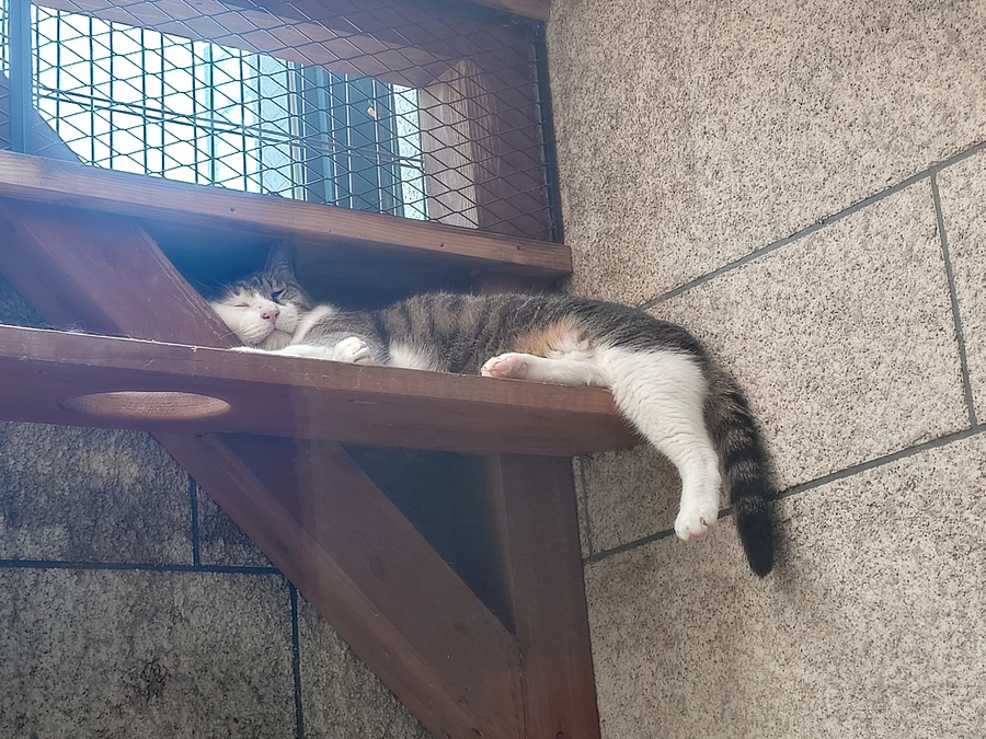 ネクストゴール達成、本日最終日です！