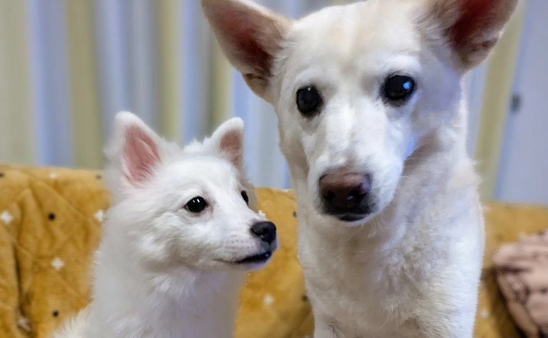 感謝のメール（２）