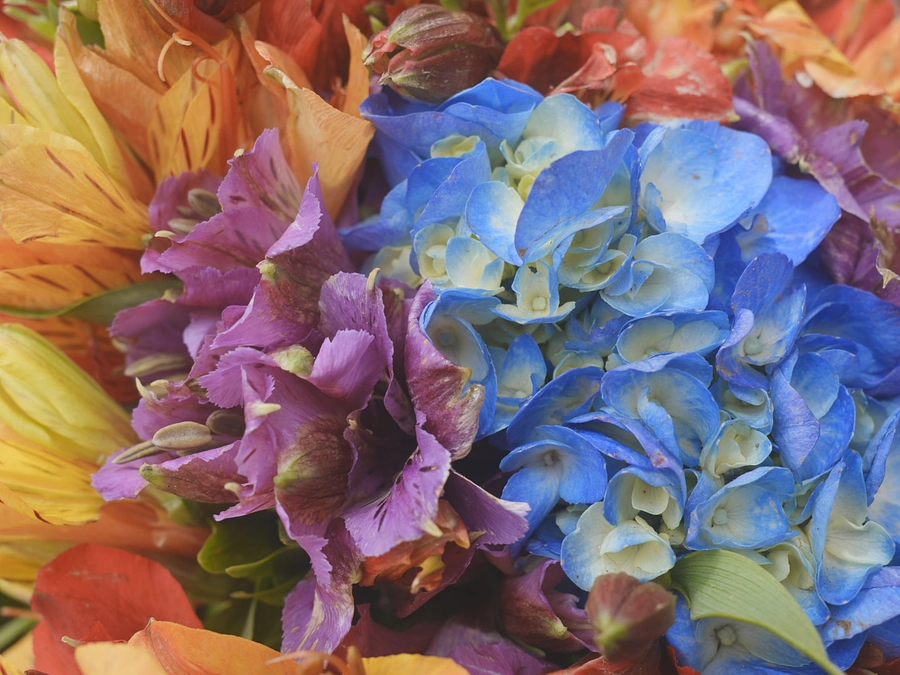 【宣伝】10月29日東京・渋谷開催！SPOGOMIワールドカップ観覧について