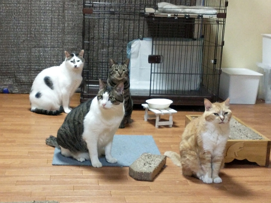 シェルターだより（9月）