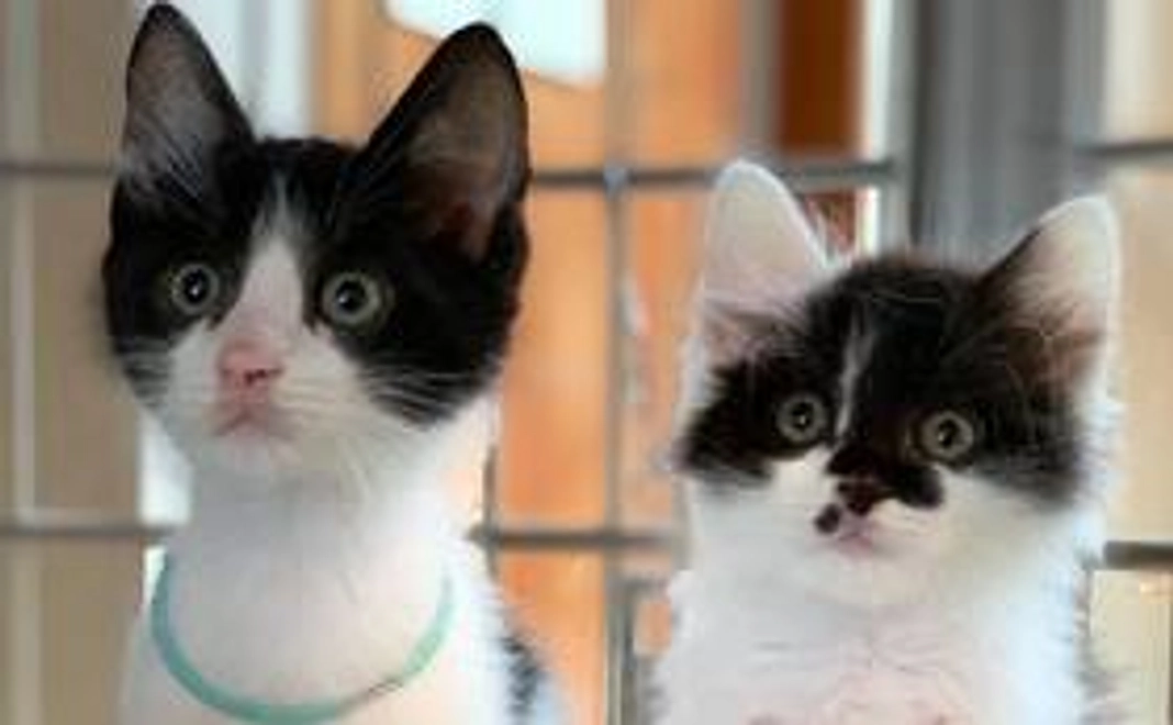 【豪華なリターン不要な方向け】1万円