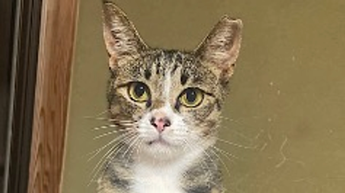 ちびちゃんの様子