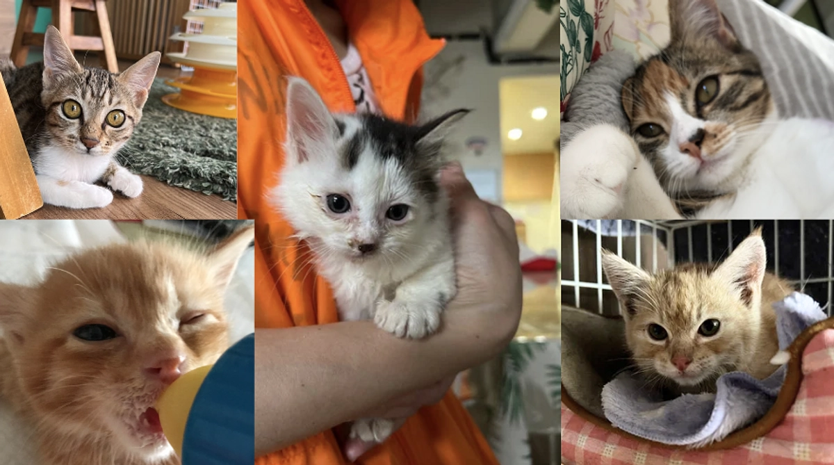 心より御礼申し上げます！皆様ありがとうございました！