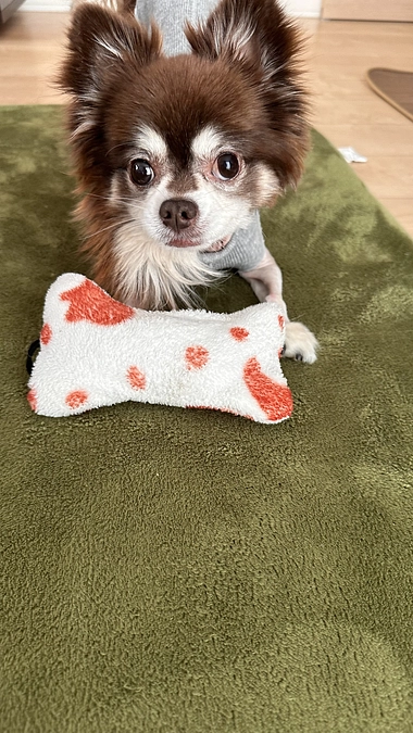 本日無事退院しました！