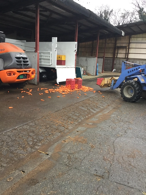 ガイタメの話をしよう