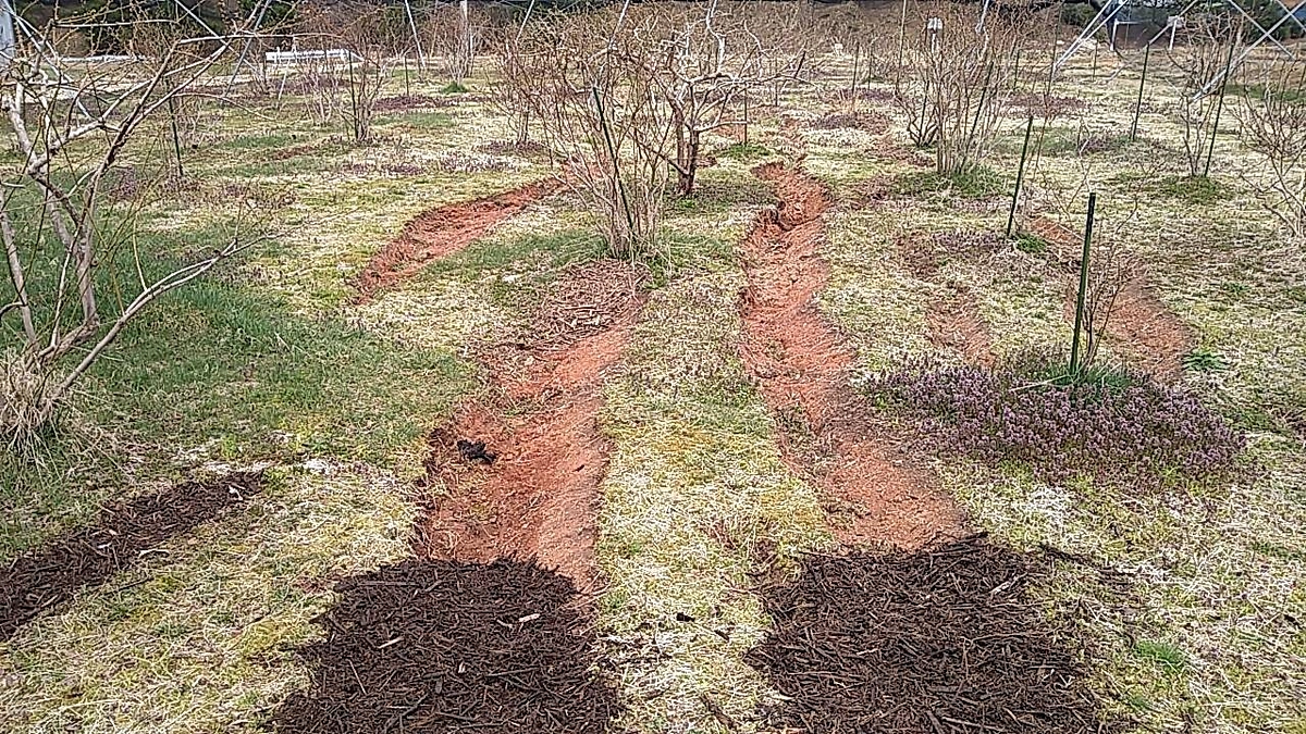 畑の亀裂を直しています（観光農園の復旧作業）