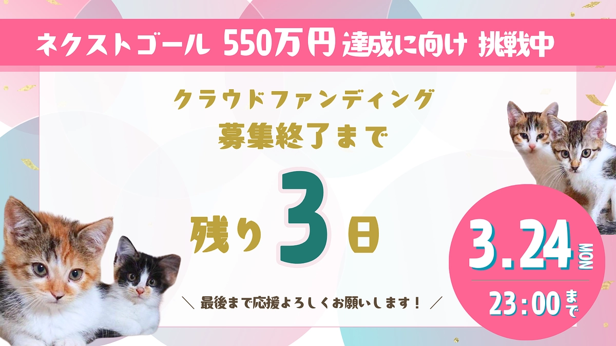 猫にゃんズプロジェクト終了まで【残り3日】