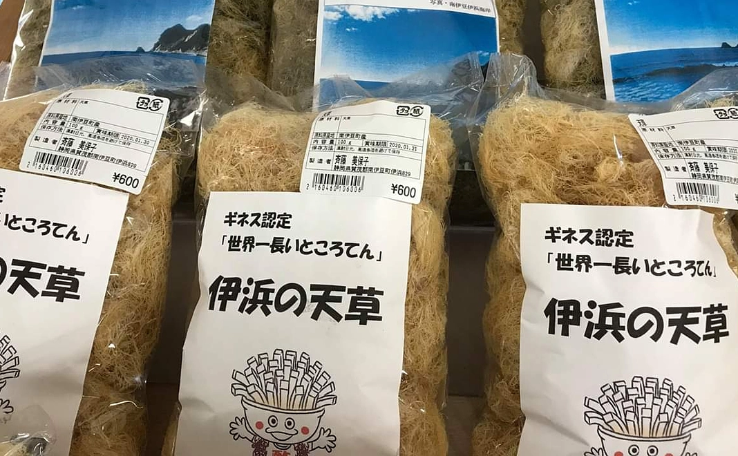 伊浜の天草コース