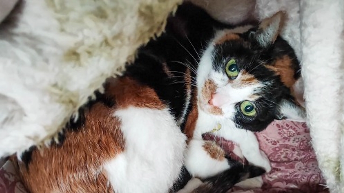 【Vol.8  4/1】クラウドファンディング、目標達成しました！