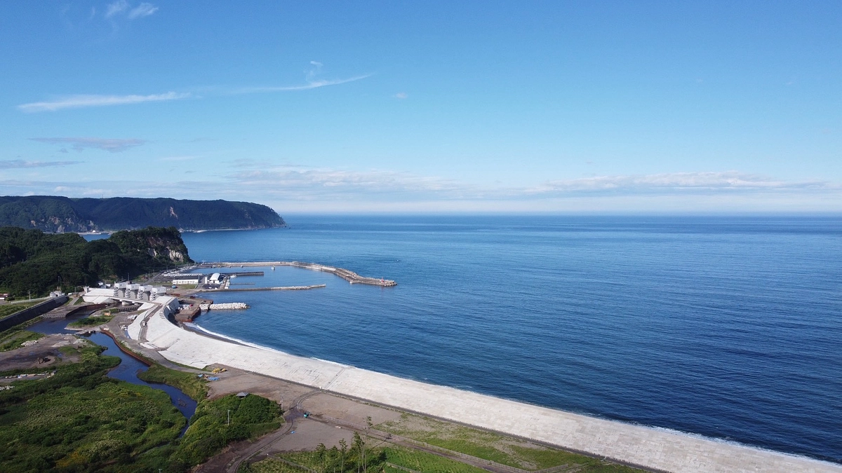 「おためしマルシェ」の活動報告②：岩手県野田村「株式会社のだむら」様にご提案差し上げました。
