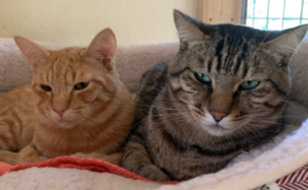 新施設にお名前掲載コース：1万円