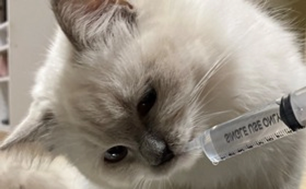 リターンなし5００円