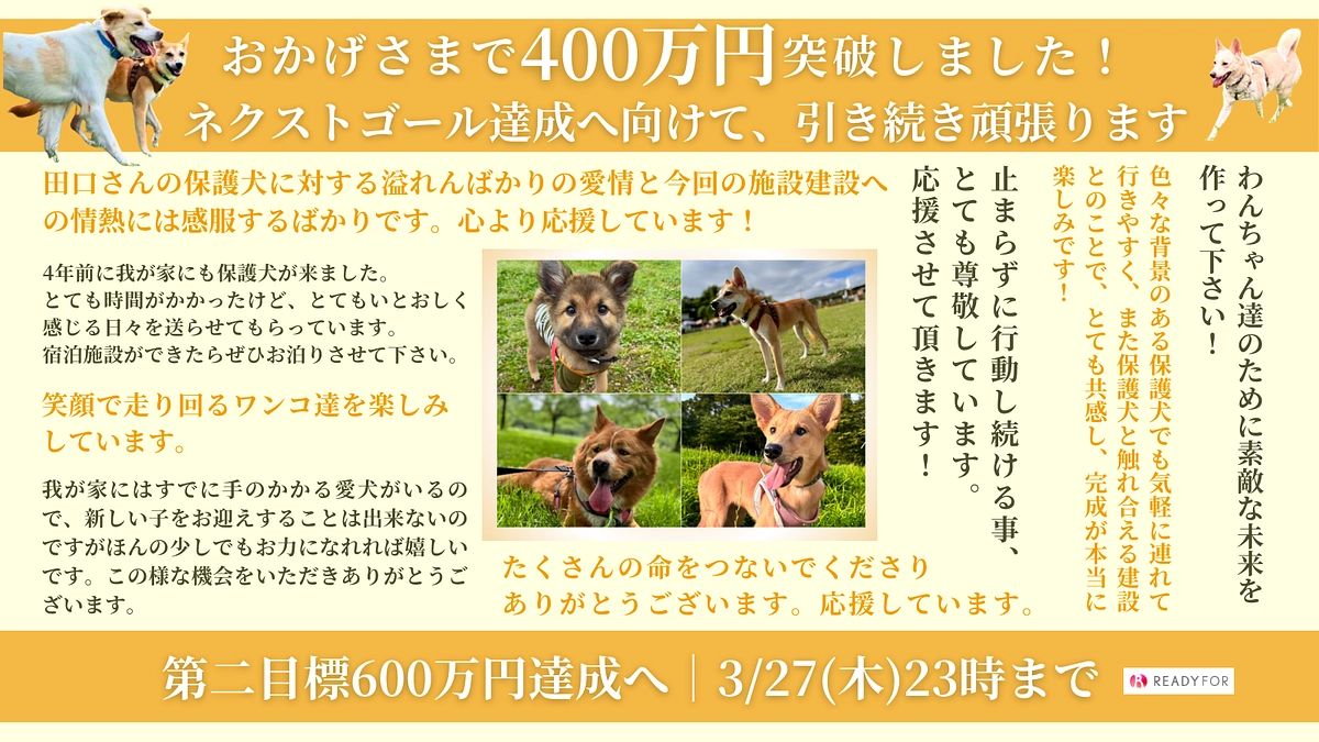 皆さまのおかげで400万円突破！皆さまのご支援が、野犬たちの未来を変える大きな力になります。