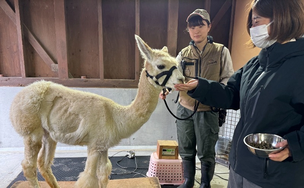 【体験】休園日に歩く!ときわ動物園ツアー