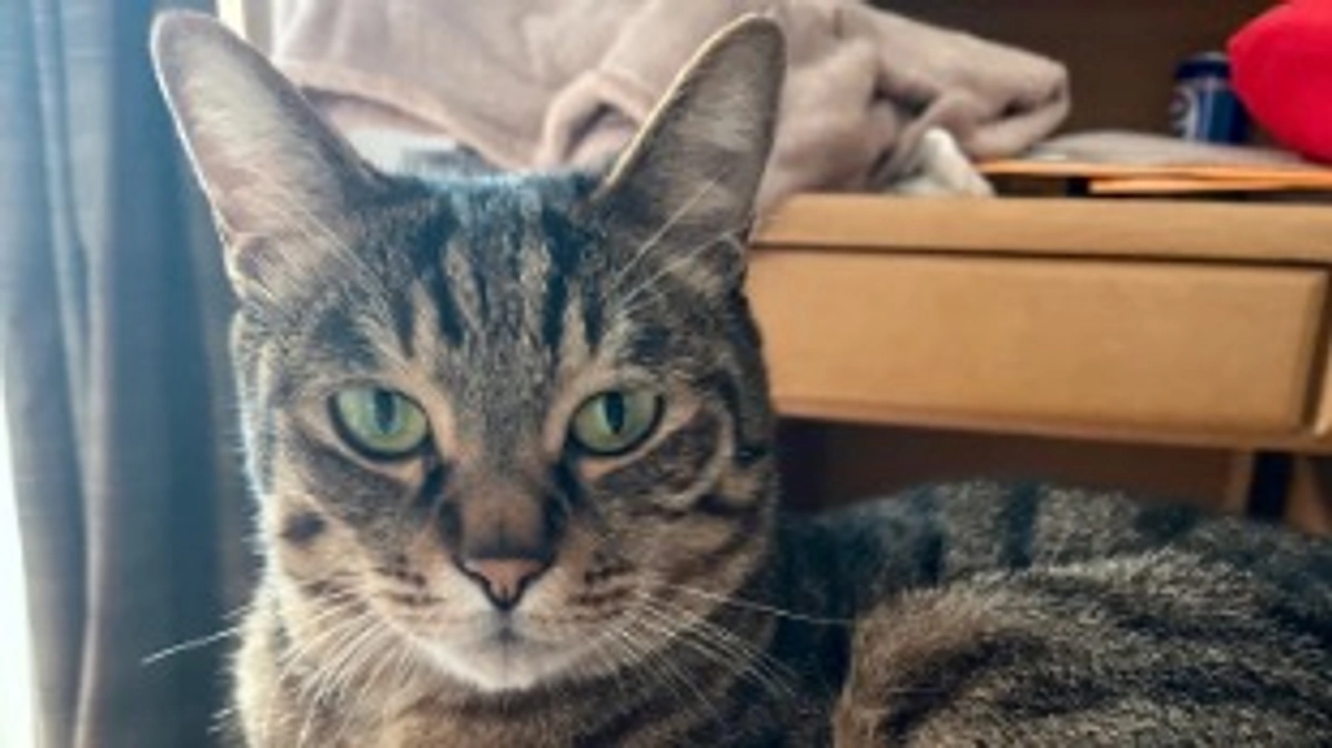 【今日のなっちゃん】6月22日