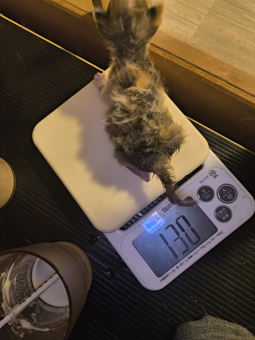 立て続けの看取りに悔しさ