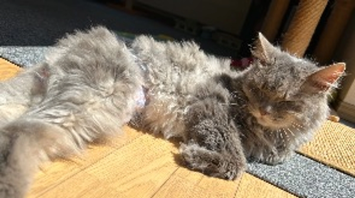 本格的な冬が始まりました