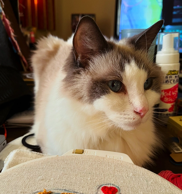 みなさま本当にありがとうございました