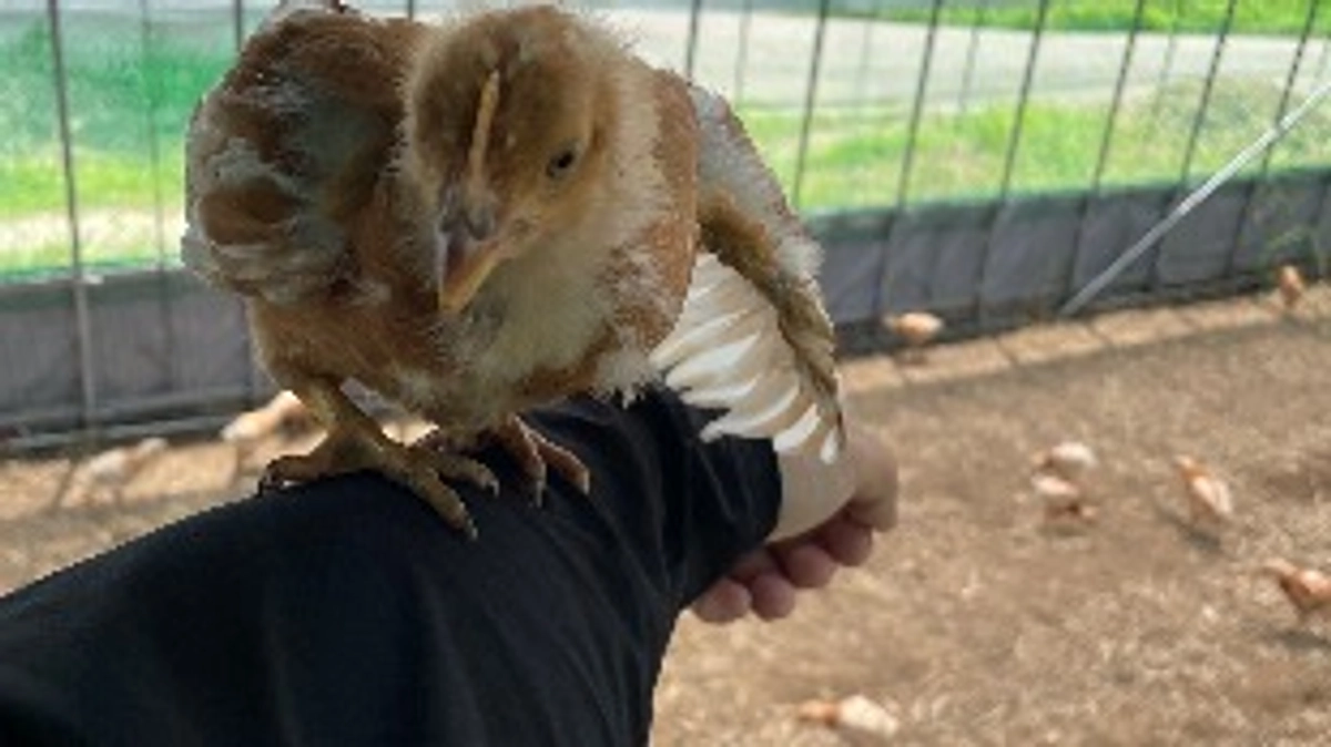 みんなで『命』を繋ぐ未来へ