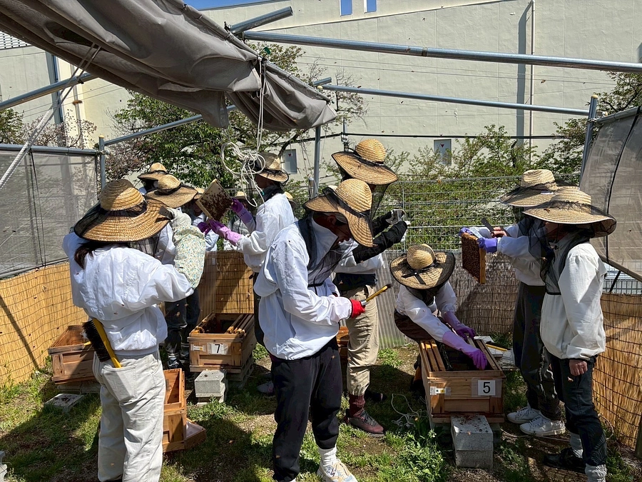 千葉商科大学　国府台Bee Garden