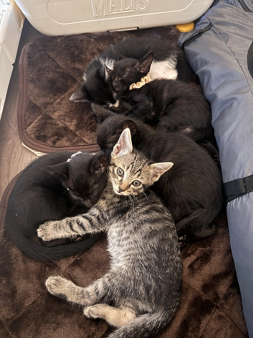 最終日、支えてくださった皆様へ感謝とこれからの決意