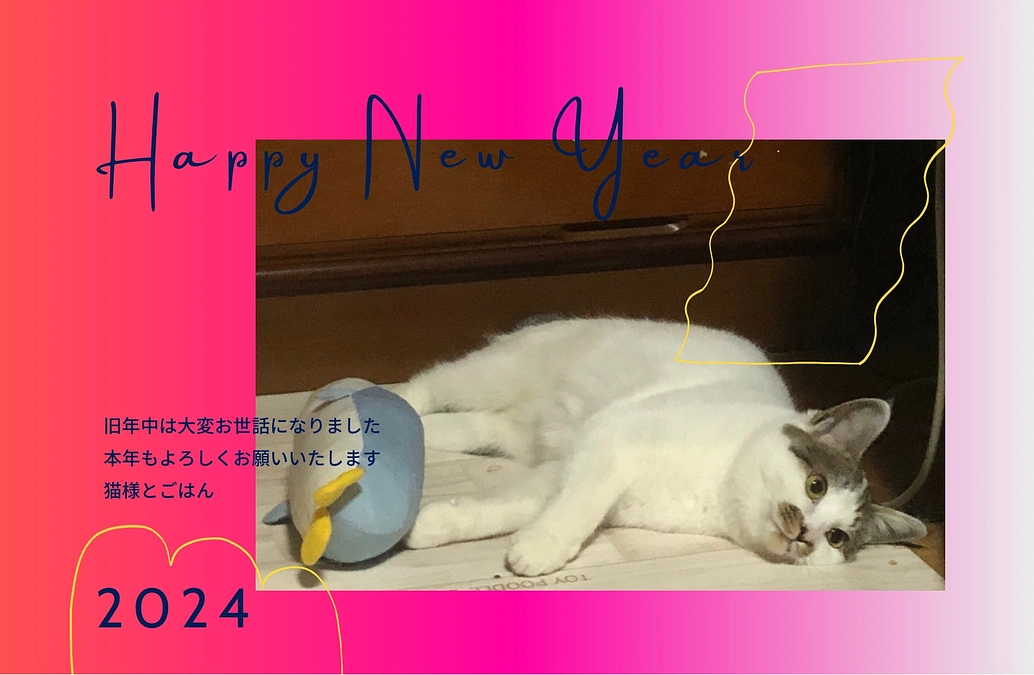 成猫たちに人間の家族を持ってもらいたい