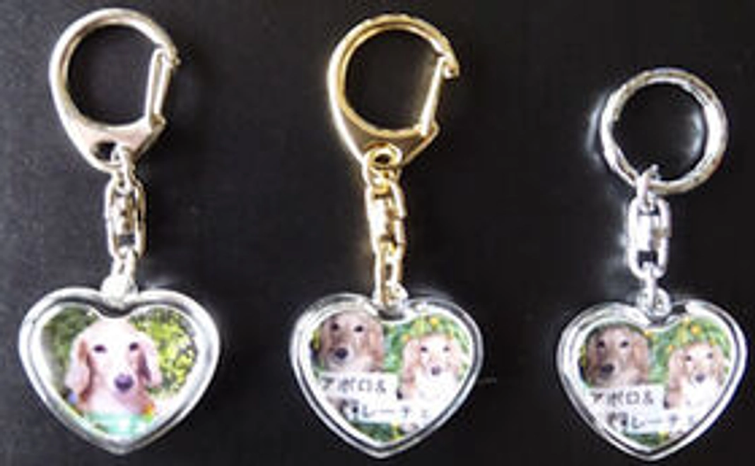 オリジナル迷子札コース（3種からお選びいただけます）