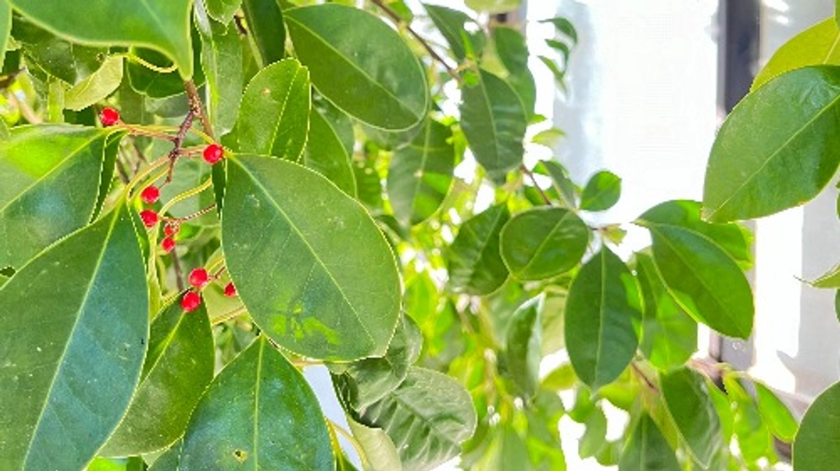 みなも通信を久しぶりに更新しました。