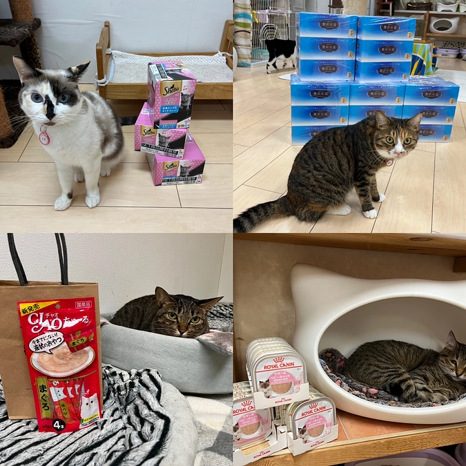 ご支援ありがとうございます！