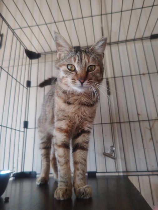 2025年度が始まりました！！