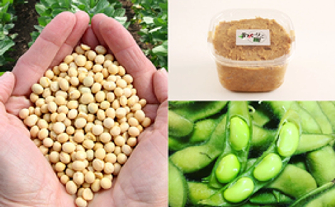 大豆ユキホマレ10kg＋発芽大豆味噌500g☓1パック＋冷凍生枝豆250g☓2袋のセット
