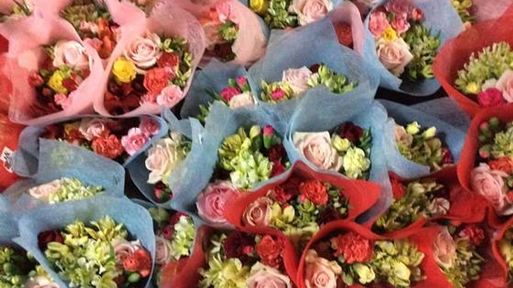 被災地、福島で行われる成人式で『夢ゆり草』をプレゼントします