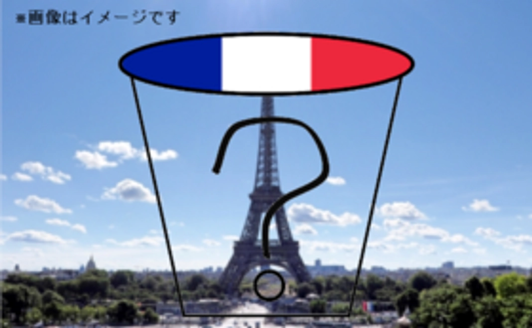 【日本未入荷！イベント限定販売！】フランスのカップラーメン