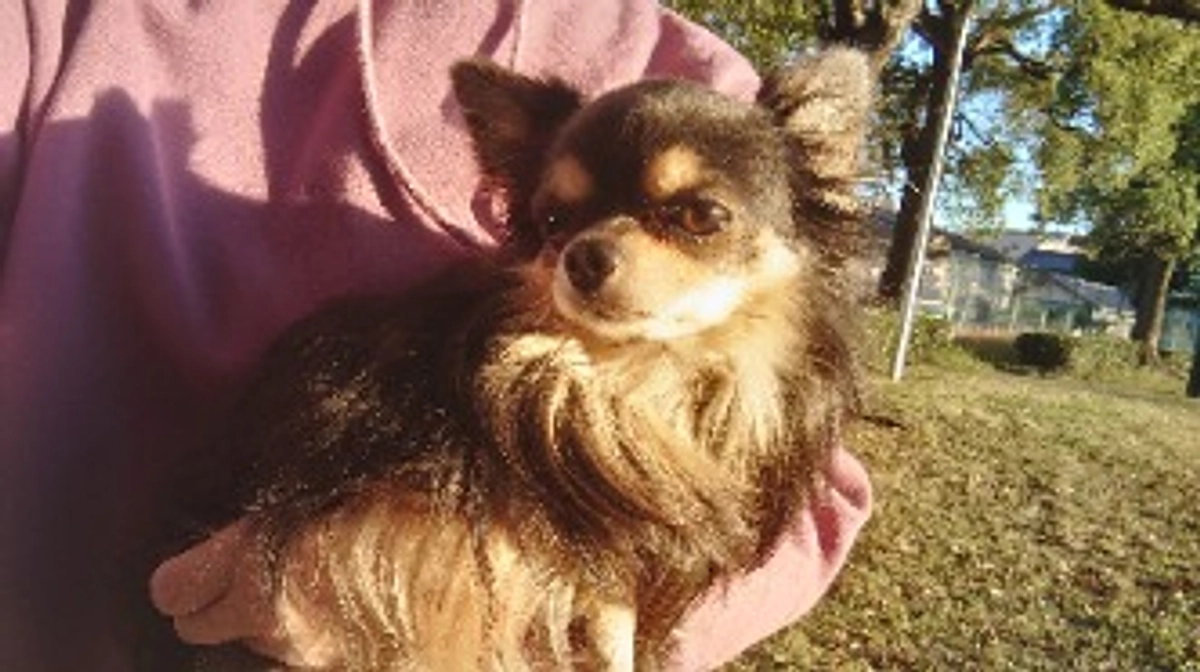 残り９日となりました