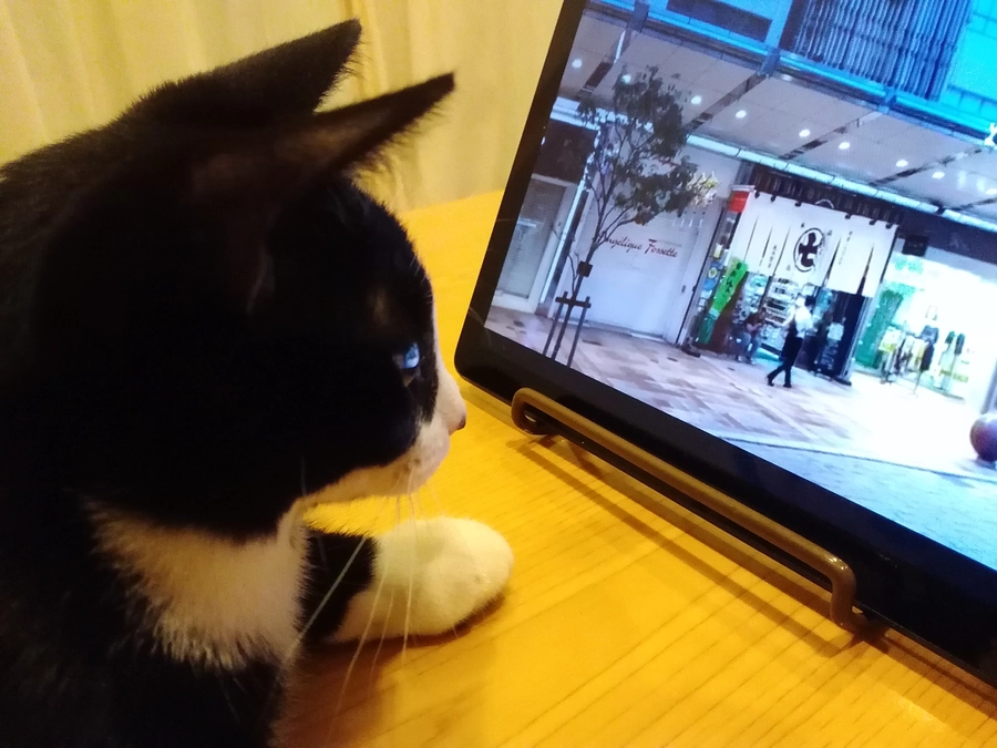 元気に育っています。