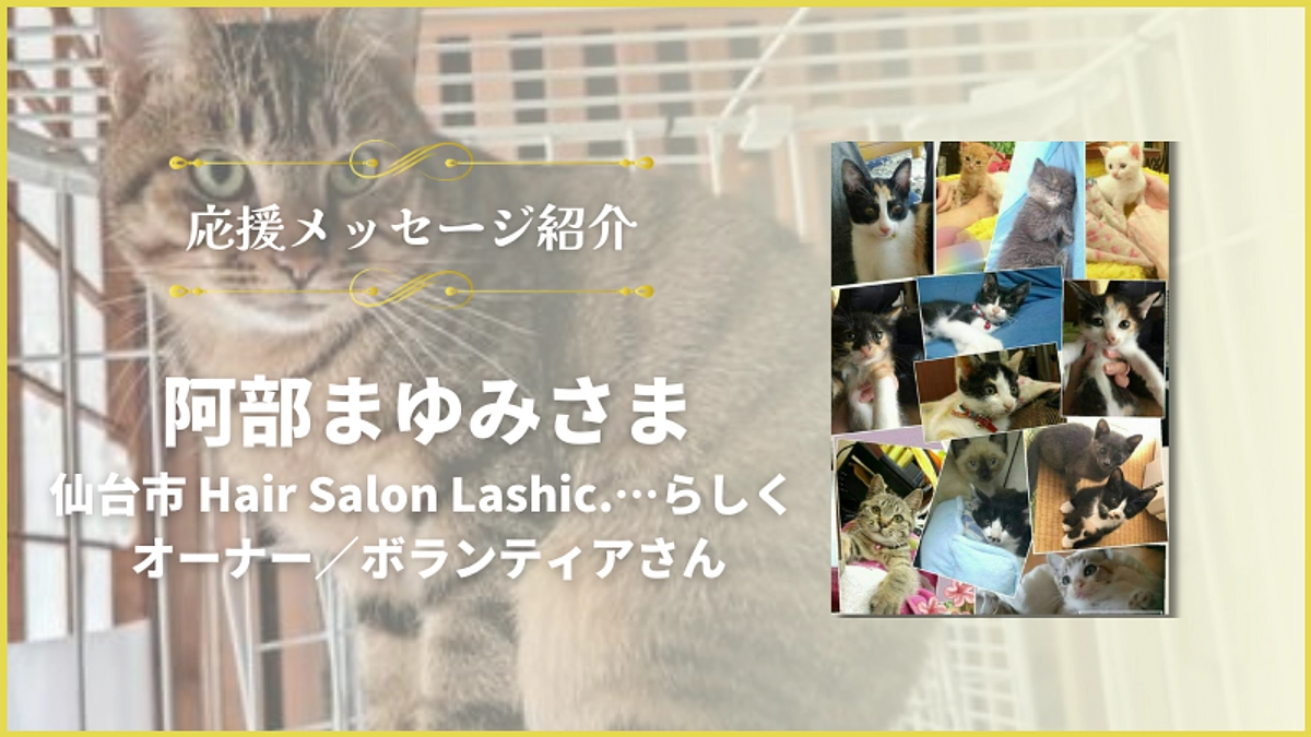 応援メッセージのご紹介【 阿部まゆみさま 】