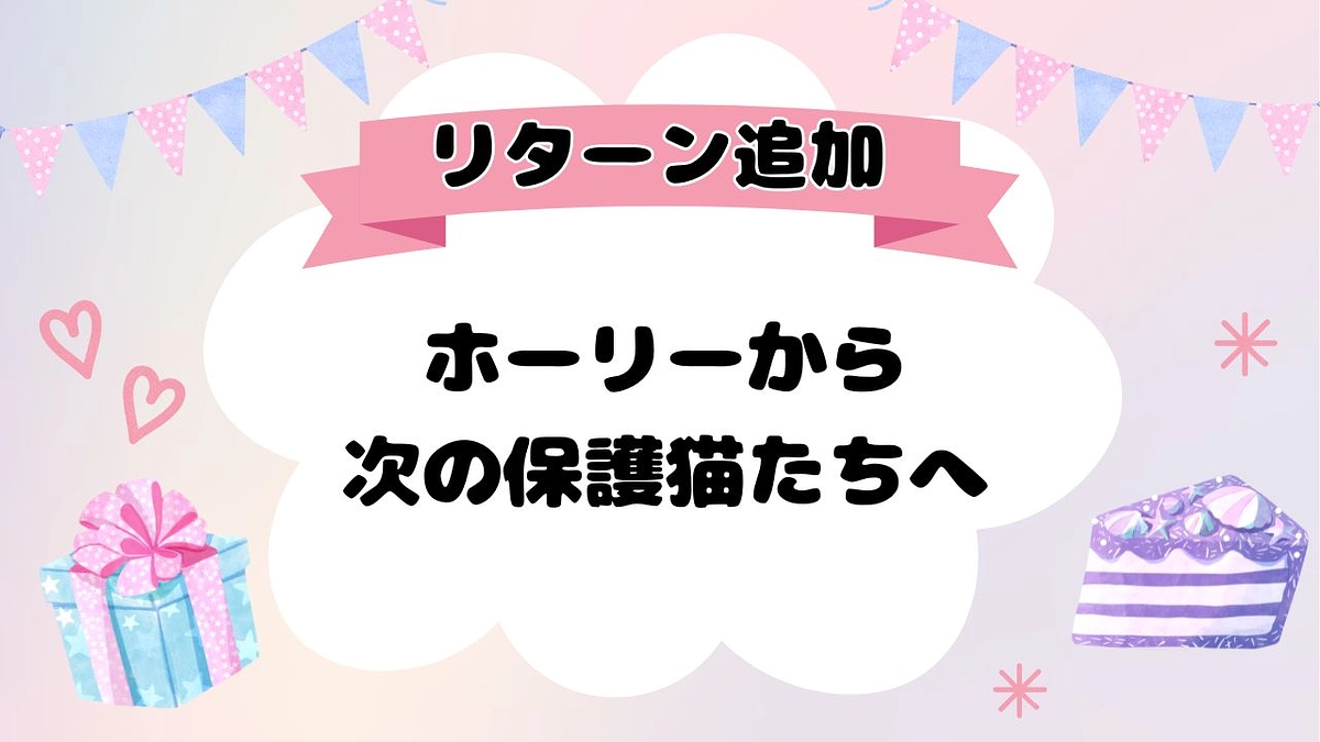 【リターン追加しました】メリークリスマス、ホーリーから次の保護猫たちへの贈り物